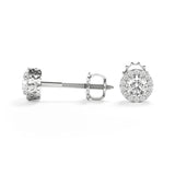 Charlotte - Classic Halo Round Brilliant Stud Earring