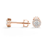 Charlotte - Classic Halo Round Brilliant Stud Earring